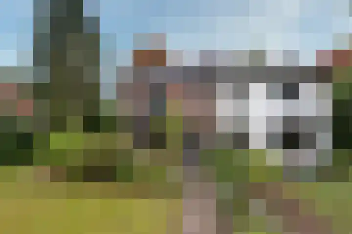 Berkenlaan 31 Zeist thumbnail 5