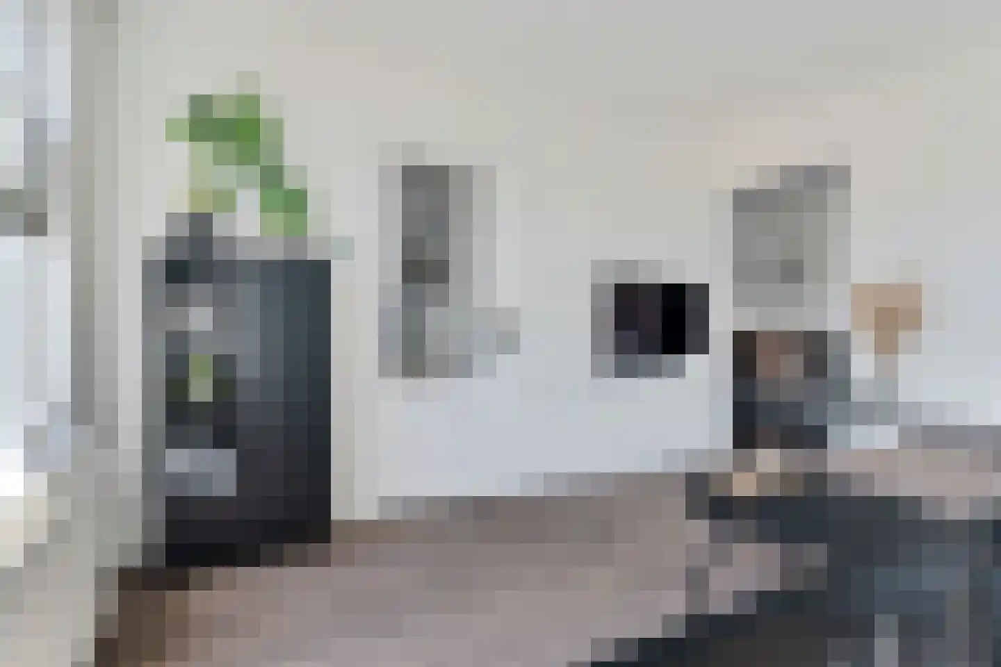 Berkenlaan 31 Zwartsluis thumbnail 12