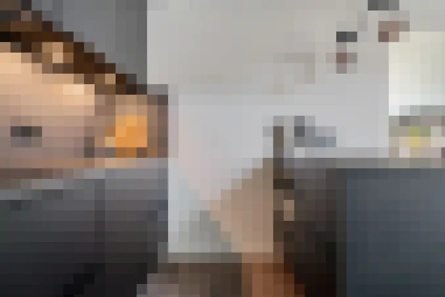 Berkenlaan 31 Zwartsluis thumbnail 14