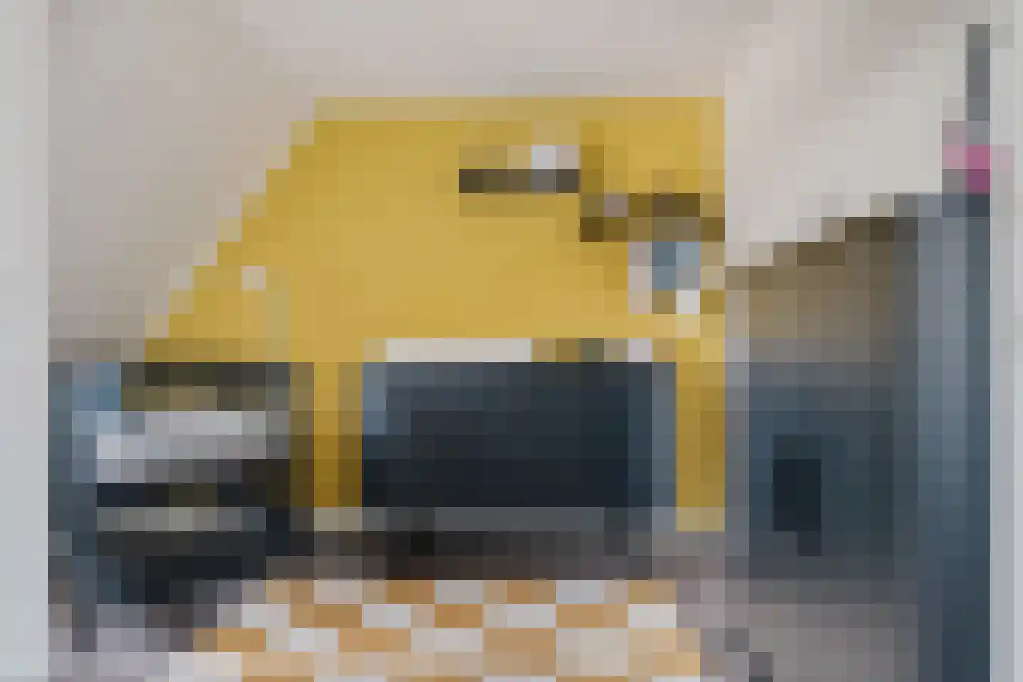 Berkenlaan 31 Zwartsluis thumbnail 31