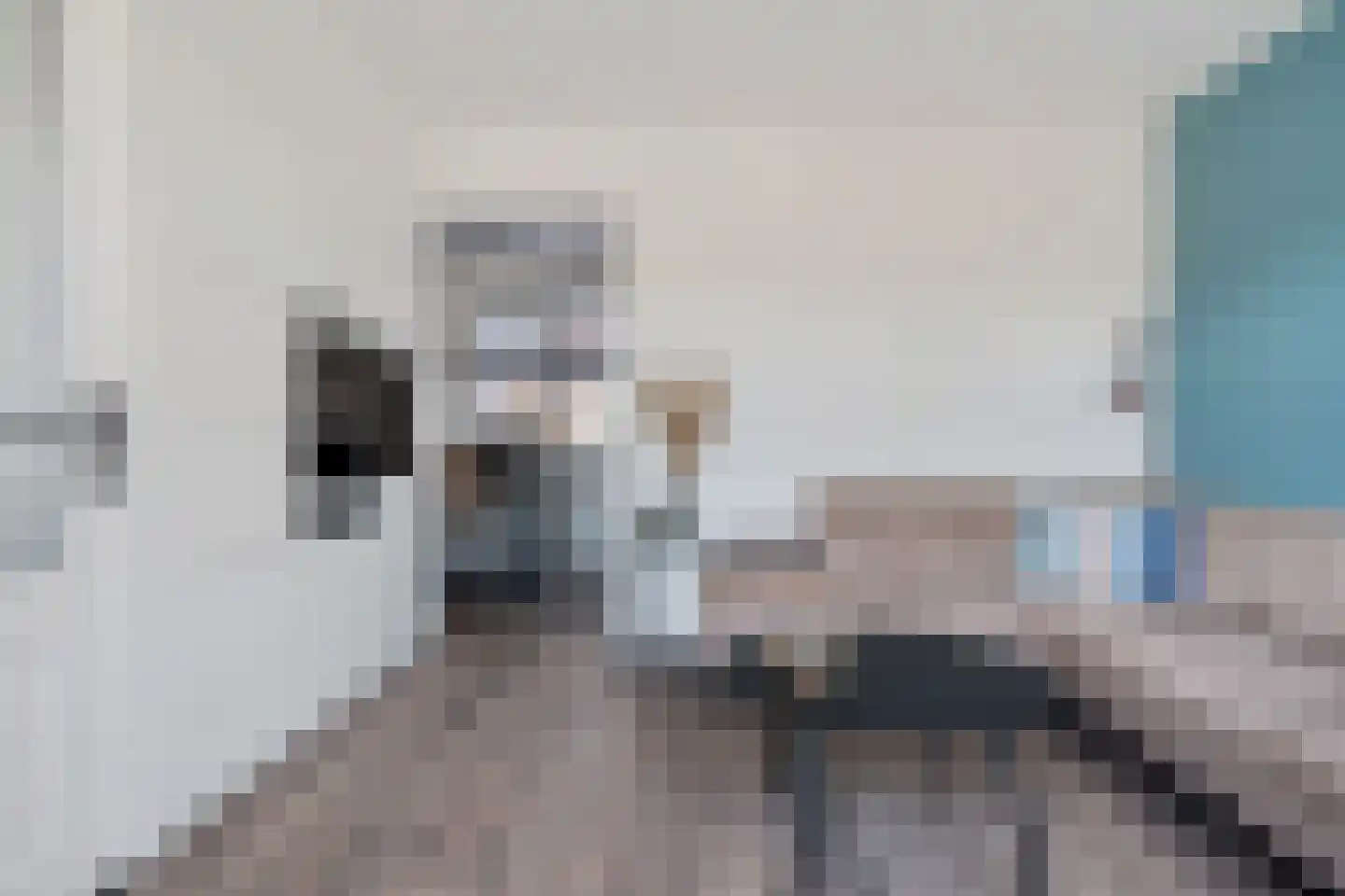 Berkenlaan 31 Zwartsluis thumbnail 4