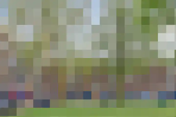 Berkenlaan 319 Zutphen thumbnail 13