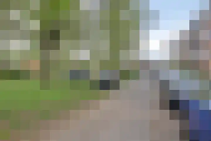 Berkenlaan 319 Zutphen thumbnail 14