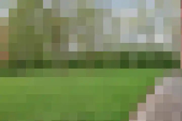 Berkenlaan 319 Zutphen thumbnail 15