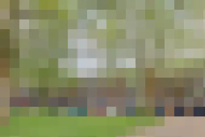 Berkenlaan 319 Zutphen thumbnail 18