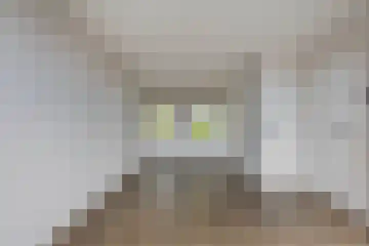 Berkenlaan 319 Zutphen thumbnail 7