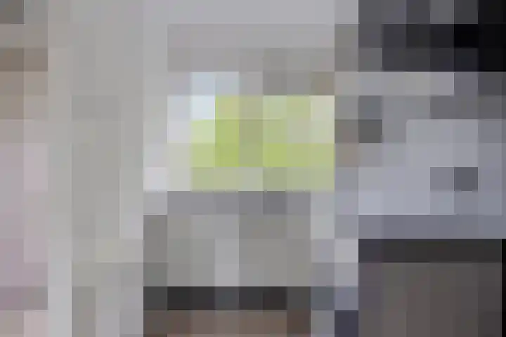 Berkenlaan 319 Zutphen thumbnail 8