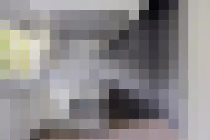 Berkenlaan 319 Zutphen thumbnail 9