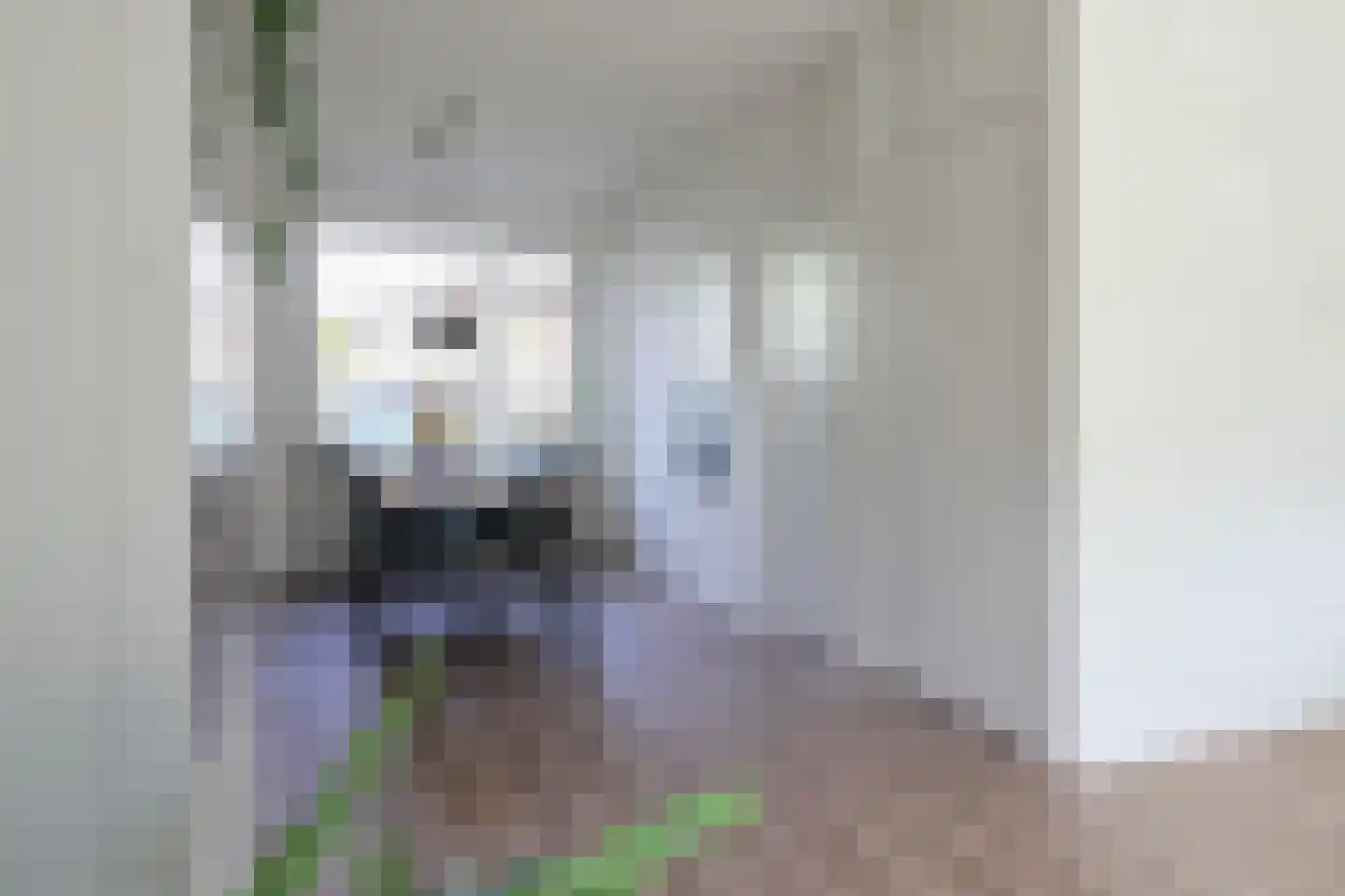 Berkenlaan 32 Sneek thumbnail 12