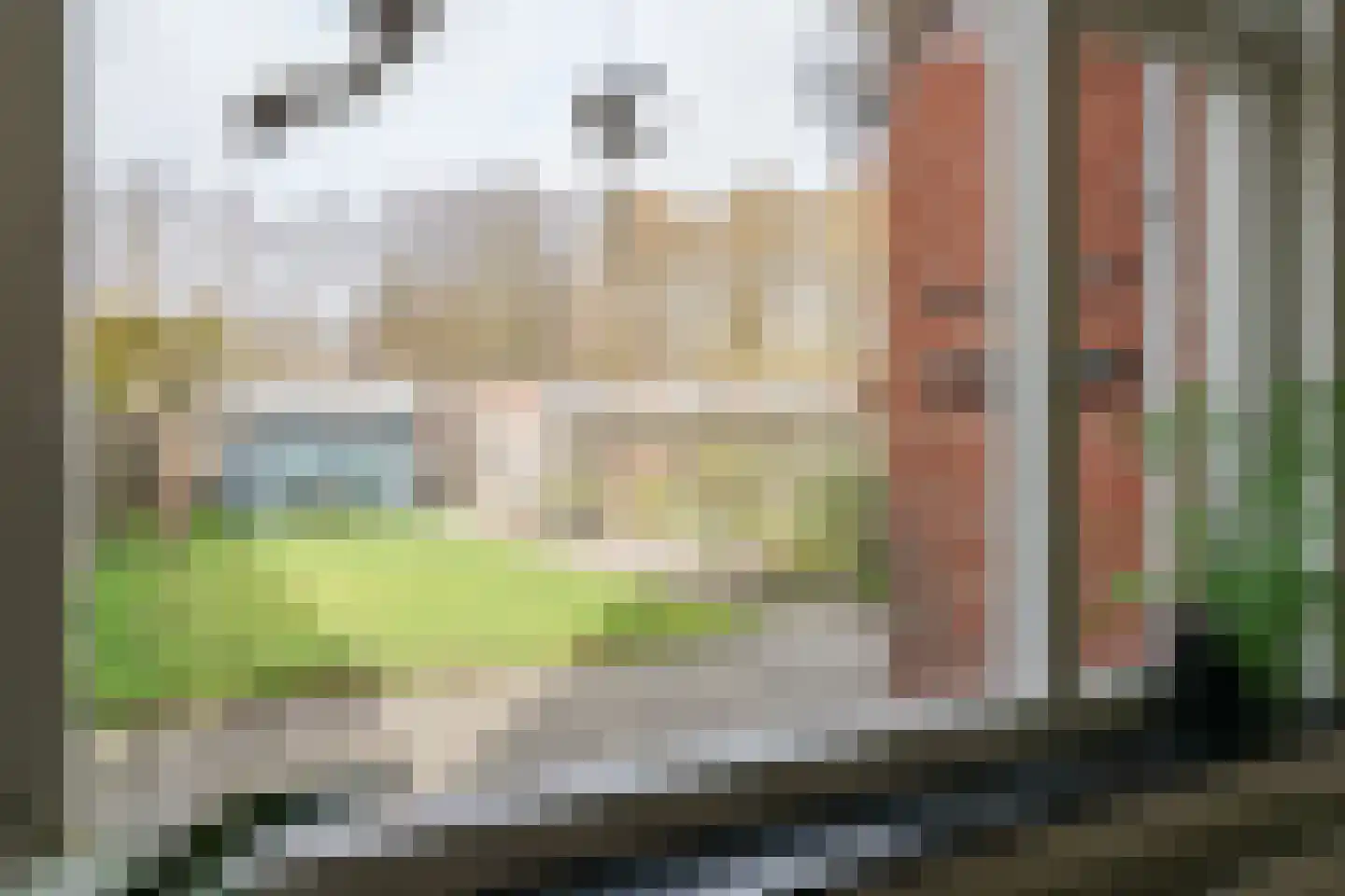 Berkenlaan 32 Sneek thumbnail 13