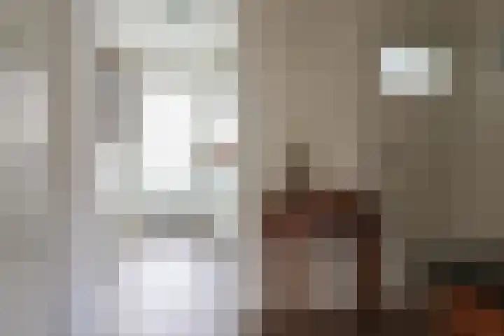 Berkenlaan 32 Sneek thumbnail 15