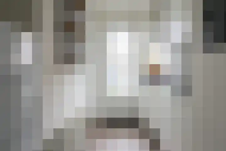 Berkenlaan 32 Sneek thumbnail 16