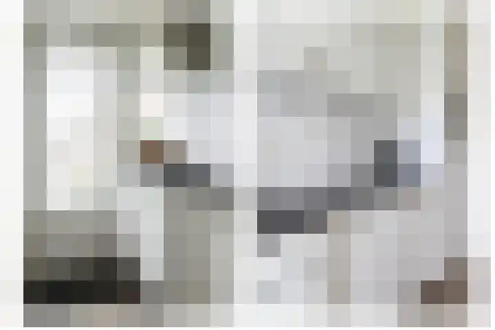 Berkenlaan 32 Sneek thumbnail 18