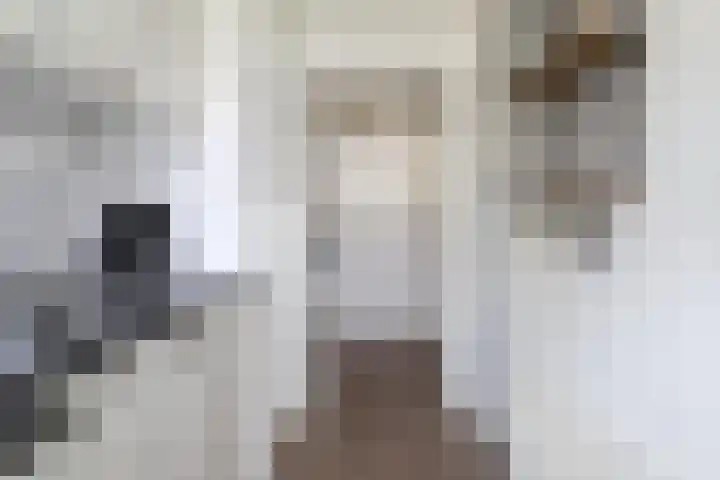 Berkenlaan 32 Sneek thumbnail 19