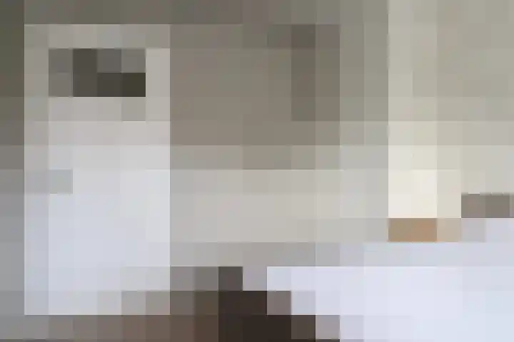 Berkenlaan 32 Sneek thumbnail 23