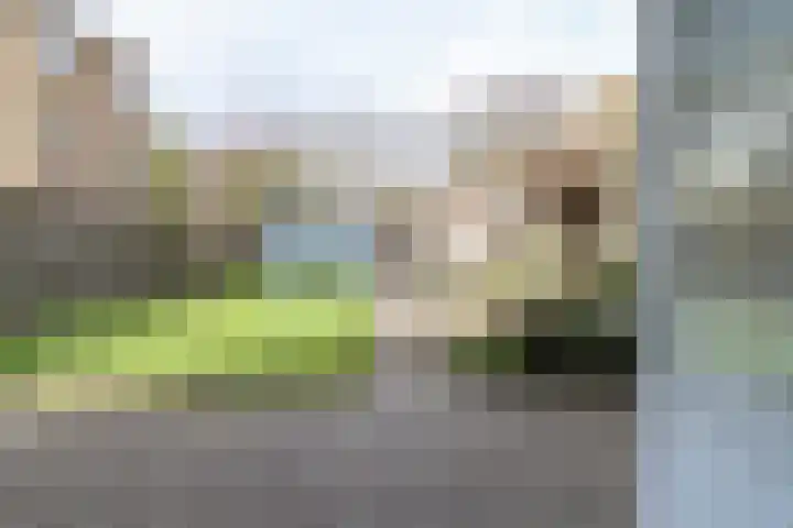 Berkenlaan 32 Sneek thumbnail 28