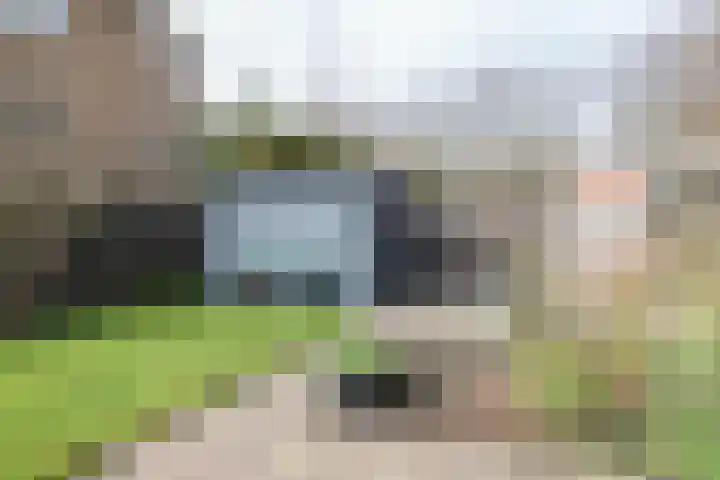 Berkenlaan 32 Sneek thumbnail 30