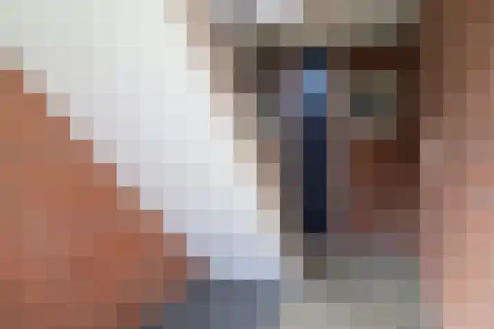Berkenlaan 32 Sneek thumbnail 38