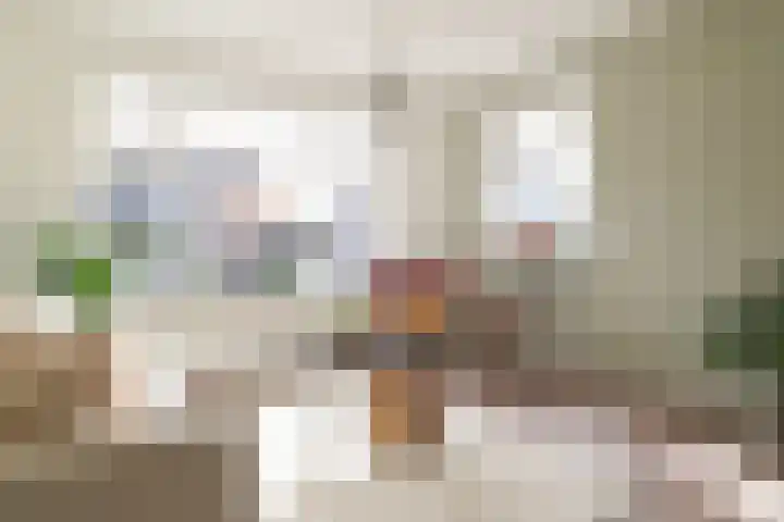 Berkenlaan 32 Sneek thumbnail 6