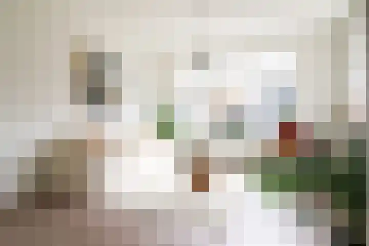Berkenlaan 32 Sneek thumbnail 8