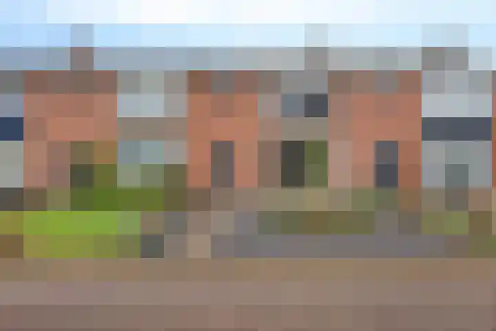 Berkenlaan 33 in Nieuwe Pekela