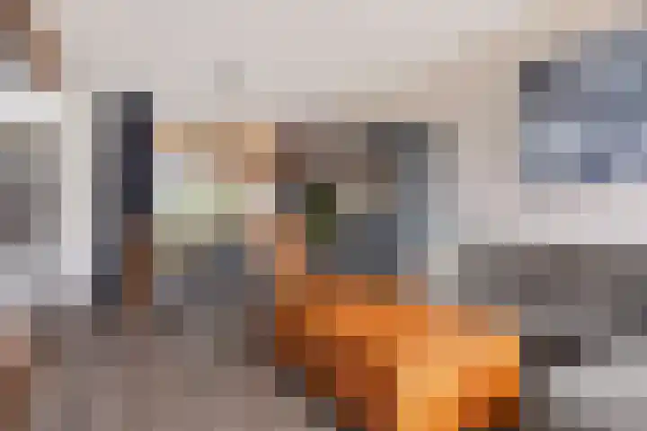 Berkenlaan 33 Nieuwe Pekela thumbnail 16