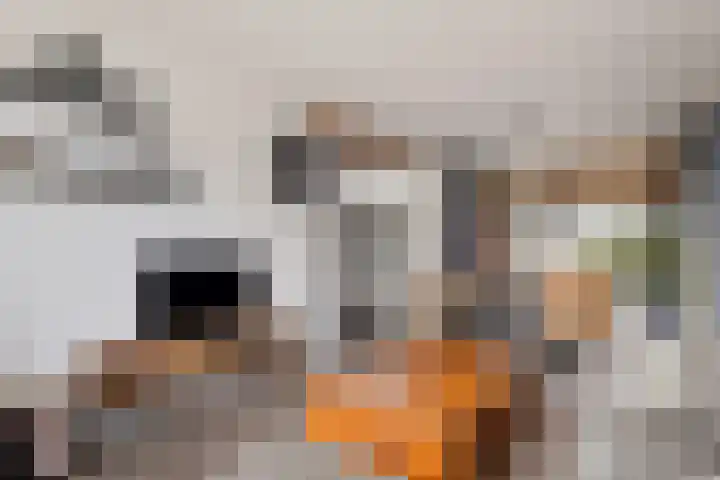Berkenlaan 33 Nieuwe Pekela thumbnail 17