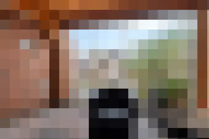 Berkenlaan 33 Nieuwe Pekela thumbnail 30