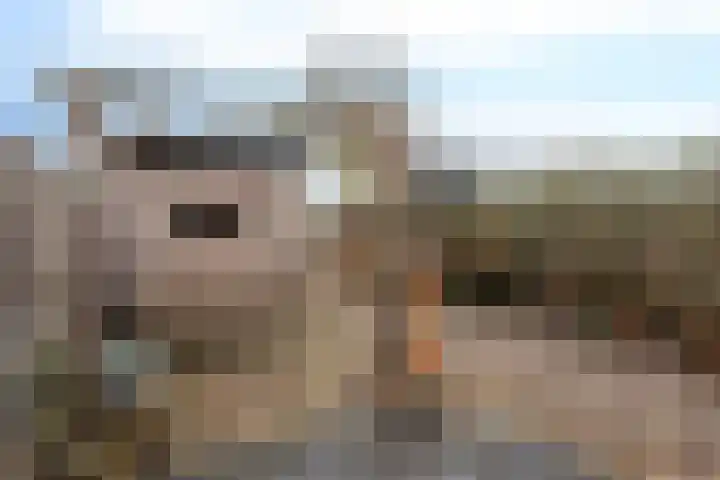 Berkenlaan 33 Nieuwe Pekela thumbnail 32