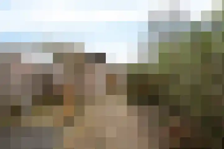 Berkenlaan 33 Nieuwe Pekela thumbnail 33
