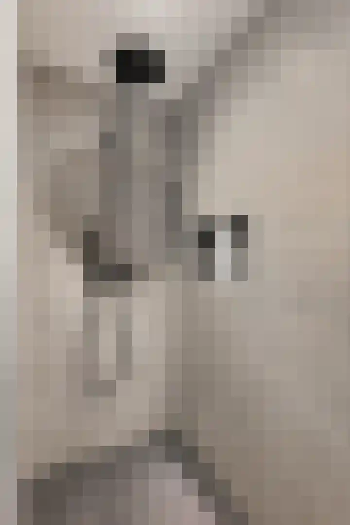 Berkenlaan 33 Nieuwe Pekela thumbnail 4