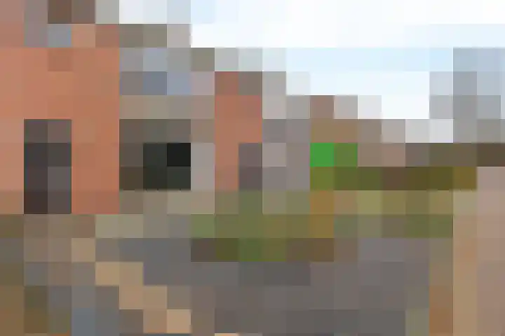Berkenlaan 33 Nieuwe Pekela thumbnail 5