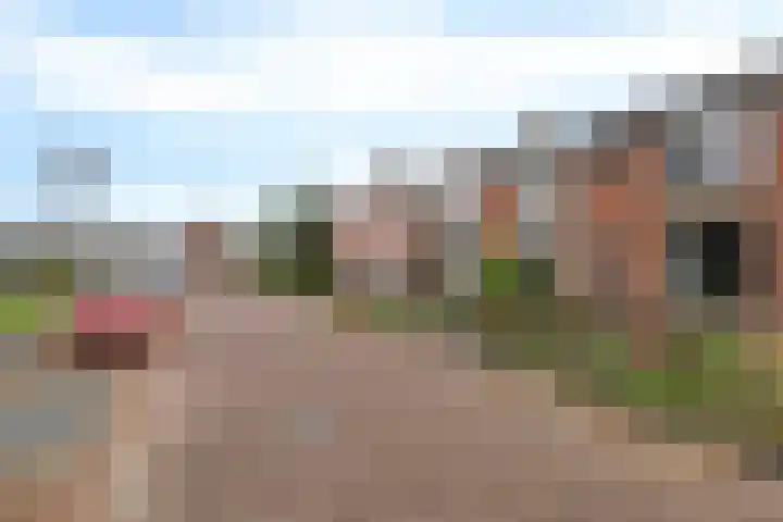 Berkenlaan 33 Nieuwe Pekela thumbnail 6