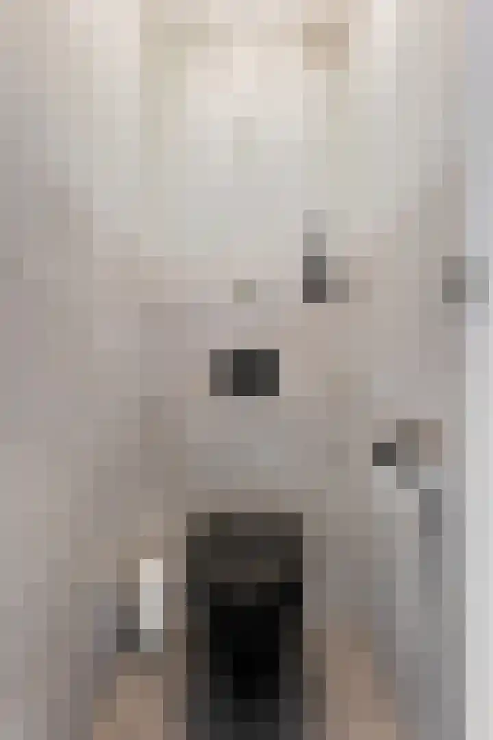Berkenlaan 33 Nieuwe Pekela thumbnail 8