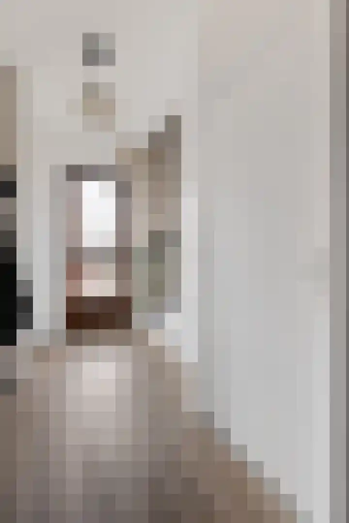 Berkenlaan 33 Nieuwe Pekela thumbnail 9