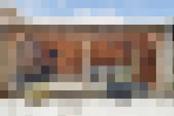Berkenlaan 33 Sassenheim thumbnail 10