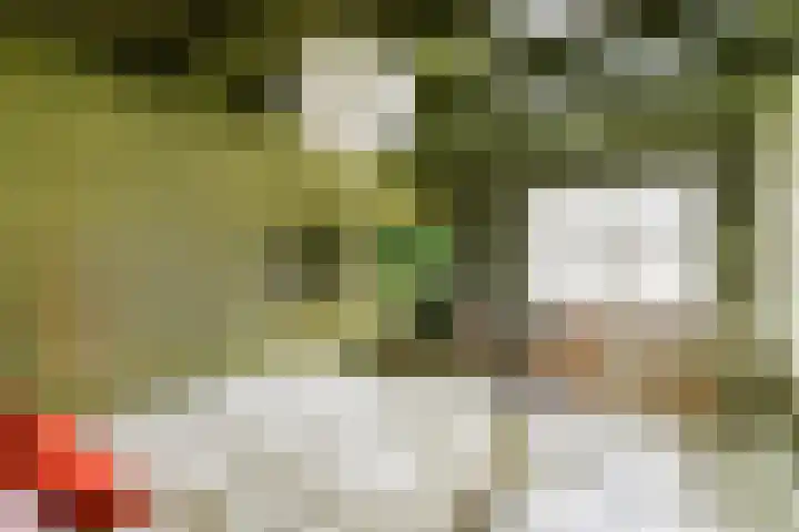 Berkenlaan 33 Sassenheim thumbnail 15