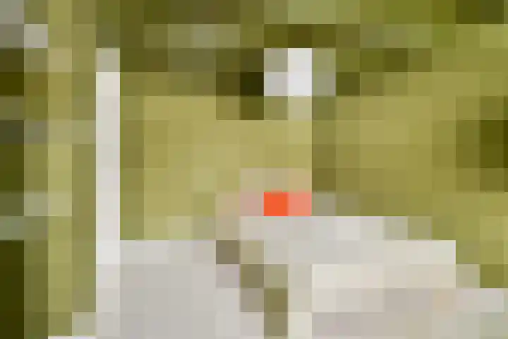 Berkenlaan 33 Sassenheim thumbnail 16