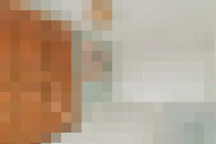 Berkenlaan 33 Sassenheim thumbnail 20