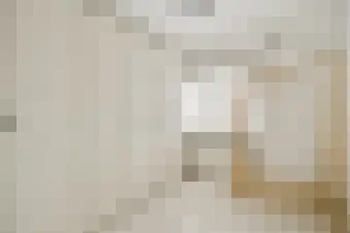 Berkenlaan 33 Sassenheim thumbnail 21
