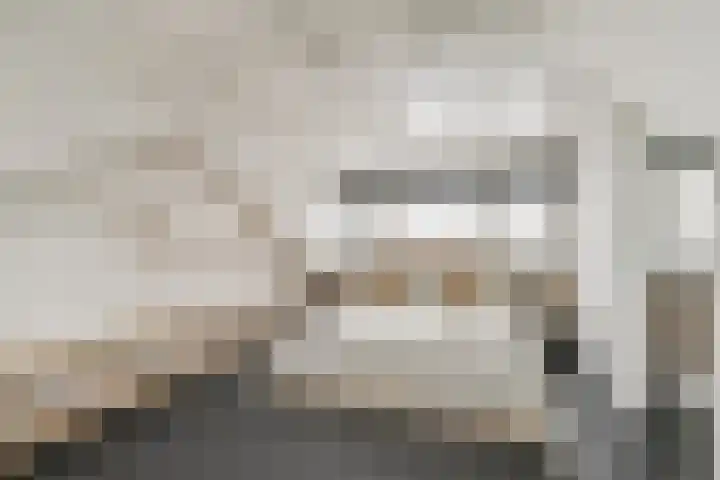 Berkenlaan 33 Sassenheim thumbnail 22