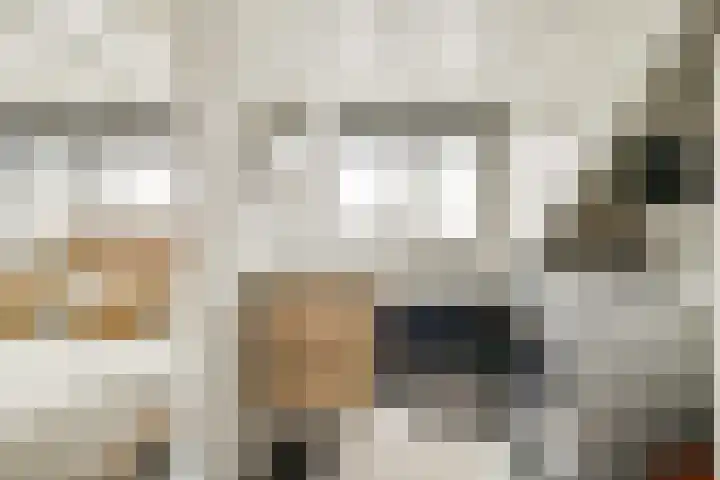 Berkenlaan 33 Sassenheim thumbnail 23