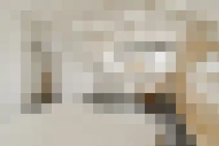 Berkenlaan 33 Sassenheim thumbnail 24