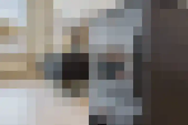 Berkenlaan 33 Zundert thumbnail 11