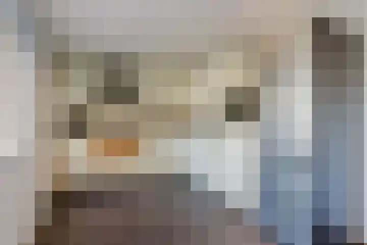 Berkenlaan 33 Zundert thumbnail 17