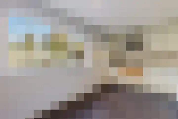 Berkenlaan 33 Zundert thumbnail 18