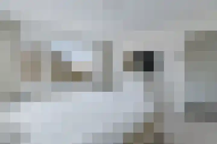 Berkenlaan 33 Zundert thumbnail 22