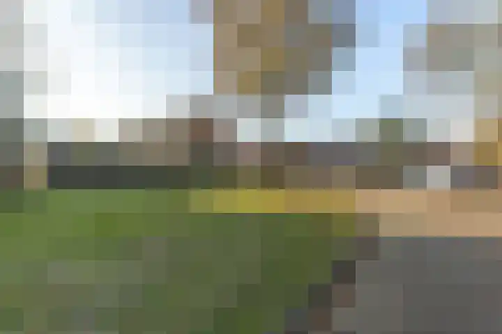 Berkenlaan 33 Zundert thumbnail 41
