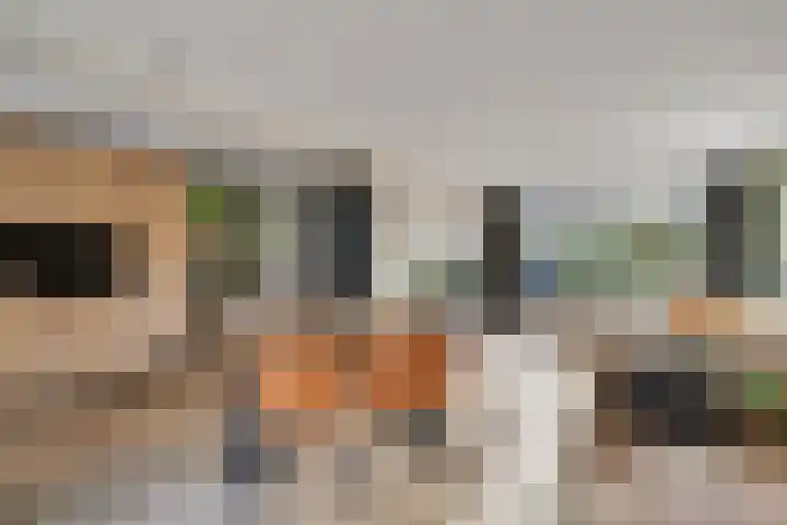 Berkenlaan 34 Hardenberg thumbnail 14