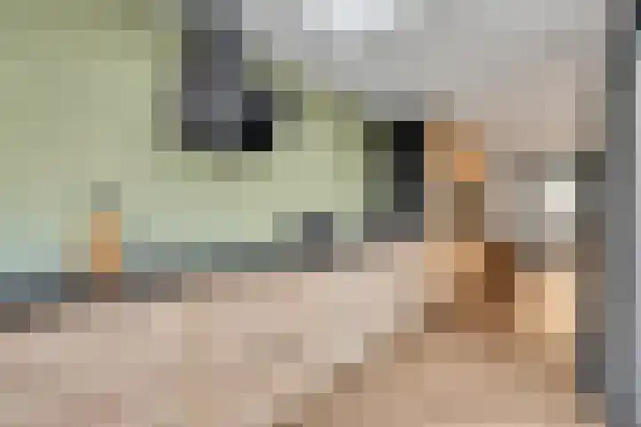 Berkenlaan 34 Hardenberg thumbnail 17